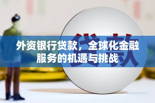 天长外资银行贷款，全球化金融服务的机遇与挑战