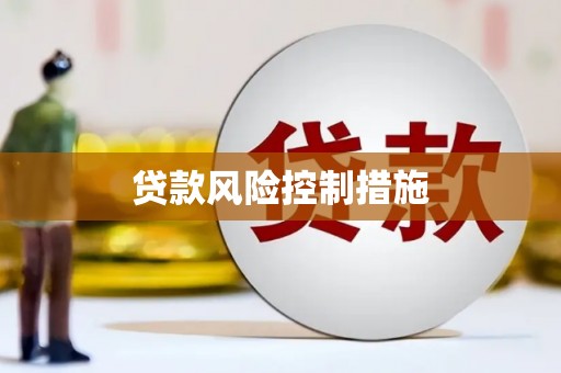 天长贷款风险控制措施