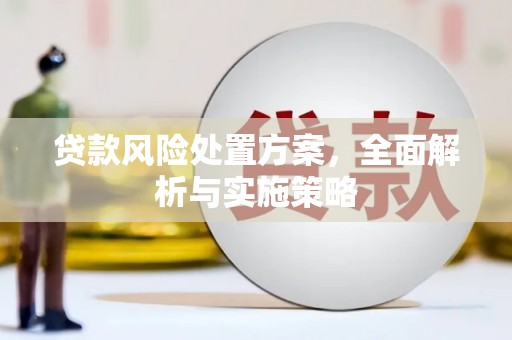 天长贷款风险处置方案，全面解析与实施策略